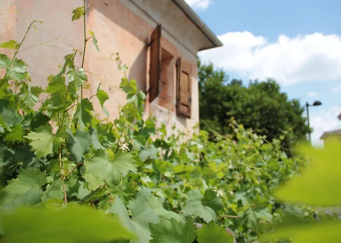 Alla vigna